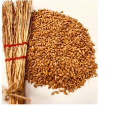 Метла семе белено 500 гр, Еко Херб