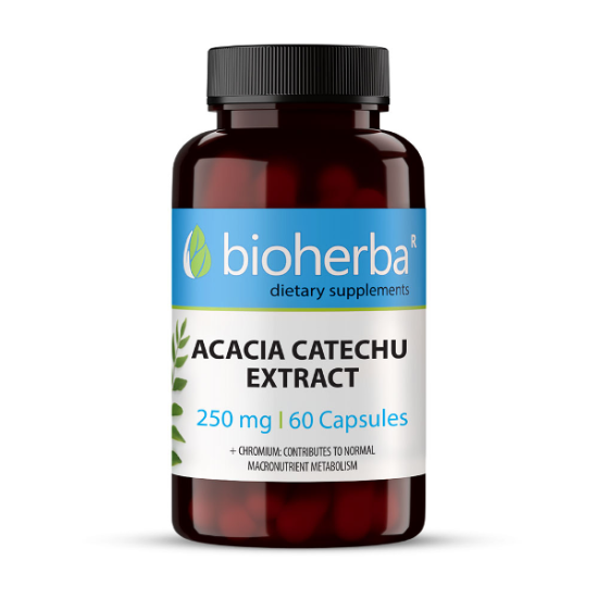 АКАЦИЯ КАТЕХУ ЕКСТРАКТ/ ACACIA CATECHU EXTRACT, 60 капсули, 250мг, Биохерба
