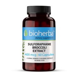 СУЛФОРАФАН ОТ БРОКОЛИ/ SULFORAPHANE BROCCOLI EXTRACT, 60 капсули, 400мкг, Биохерба