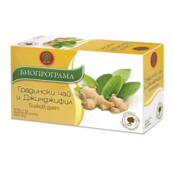 Градински чай и Джинджифил 20 ф Биопрограма