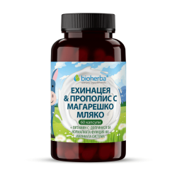ЕХИНАЦИЯ, ПРОПОЛИС/ EHINACEA, PROPOLIS С МАГАРЕШКО МЛЯКО, 60 капсули, Биохерба