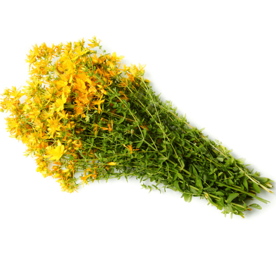 Жълт кантарион стрък 50гр, Еко Херб