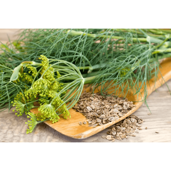 Копър плод 50 гр, Еко Херб