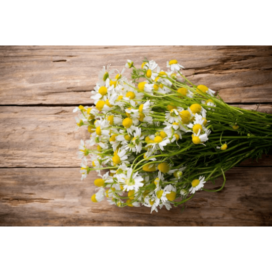 Лайка цвят 40 гр, Еко Херб