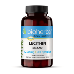 ЛЕЦИТИН (БЕЗ ГМО)/ LECITHIN (NON GMO), 50 софтгел капсули, 1200мг, Биохерба