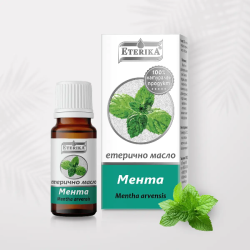 Етерично Масло От Мента – Mentha arvensis – 10 мл, Етерика