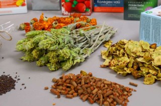 MCM VT - ПРОЦИЯ