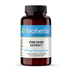 ЕКСТРАКТ ОТ ПРИМОРСКИ БОР/ PINE BARK EXTRACT, 60 капсули, 50мг, Биохерба
