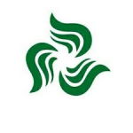 АУРИМЕТРИЯ