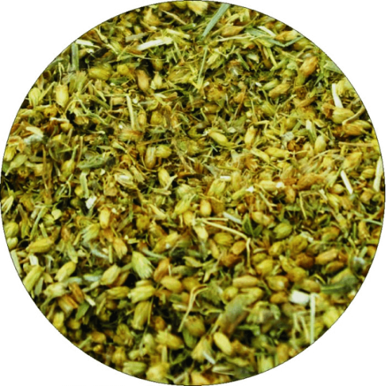 Бял равнец 40 гр - Билек