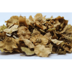 Дракови парички плод 50 гр - ЕкоХерб