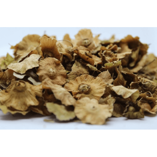 Дракови парички плод 50 гр - ЕкоХерб