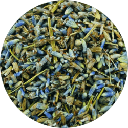 Лавандула 40 гр - Билек