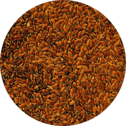 Ленено семе 50 гр - Билек