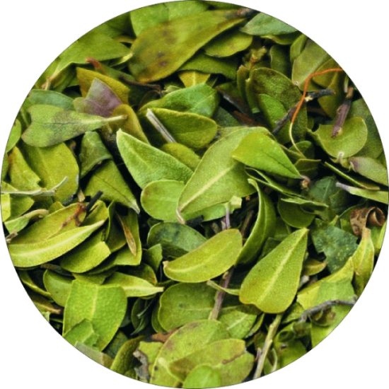 Мечо грозде 40 гр - Билек