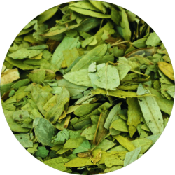 Сена 40 гр - Билек