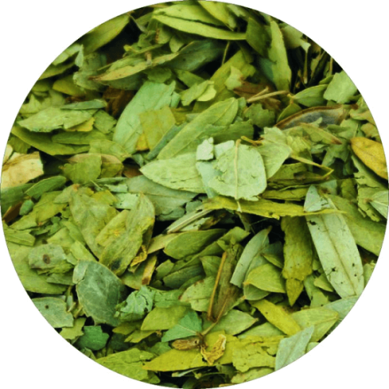 Сена 40 гр - Билек