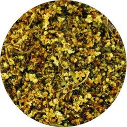 Чер бъз цвят 50 гр - Билек